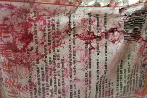 舞帝二哈爆料视频大全最新,揭秘娱乐圈幕后真相