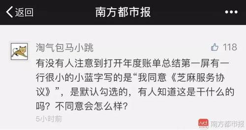 马小跳网友爆料视频大全,揭秘网络热点背后的真相