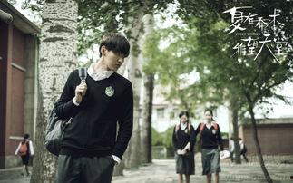 夏有乔木电影在线观看,青春爱情的浪漫演绎