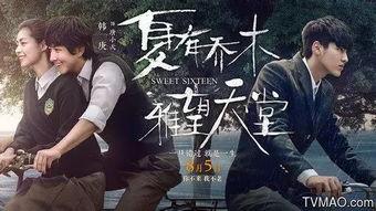夏有乔木电影在线观看,青春爱情的浪漫演绎