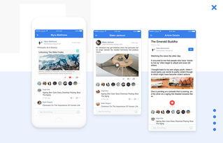 在线观看网站2017,2017年在线观看网站发展综述