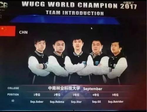 大新闻大爆料,大新闻大爆料背后的惊人真相