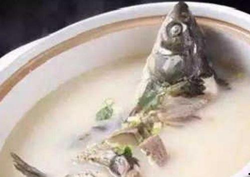 落汤鱼最新爆料视频大全,揭秘幕后真相，精彩瞬间大盘点