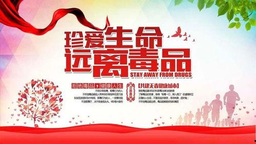 禁毒视频在线观看,共筑无毒家园——禁毒视频在线观看指南