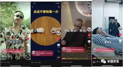 禁毒视频在线观看,共筑无毒家园——禁毒视频在线观看指南