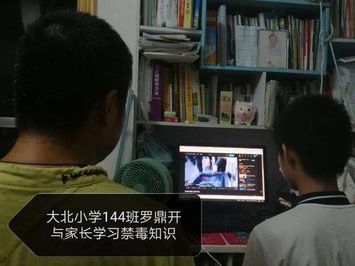 禁毒视频在线观看,共筑无毒家园——禁毒视频在线观看指南