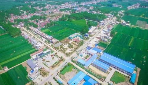 利辛最新消息大爆料,热点事件深度解析