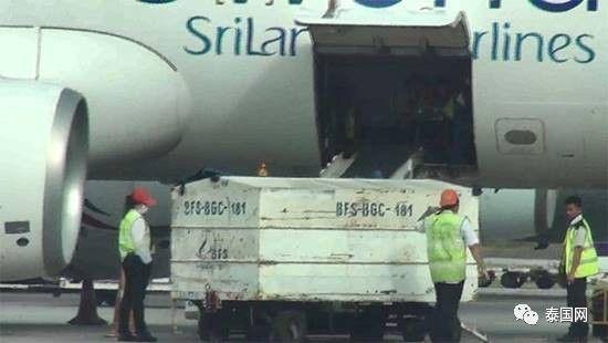 泰国机场爆料视频大全下载,揭秘机场幕后故事