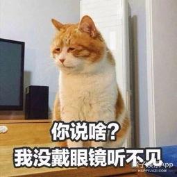 喵星娱乐吃瓜群众是谁,揭秘“吃瓜群众”背后的神秘力量