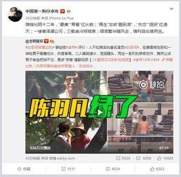 八组爆料视频合集,揭开事件真相背后的重重疑云