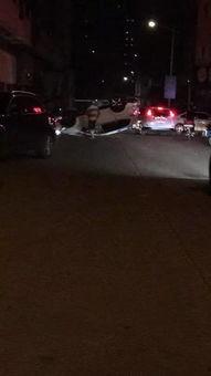 沈阳四号街爆料事件视频,街头冲突引发社会关注