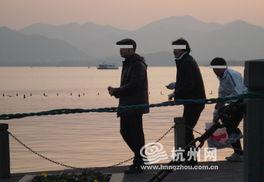 最新偷鱼爆料,揭秘幕后黑手与惊人内幕