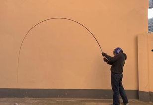 科学钓鱼爆料视频大全,视频大全深度解析