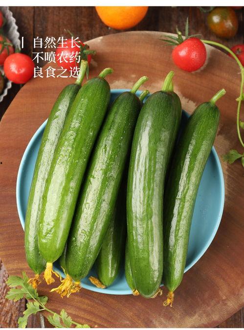 荷兰网红吃瓜视频,揭秘瓜界新潮流